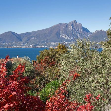 Villa Loncrino - Fine Living Torri Del Benaco Dış mekan fotoğraf